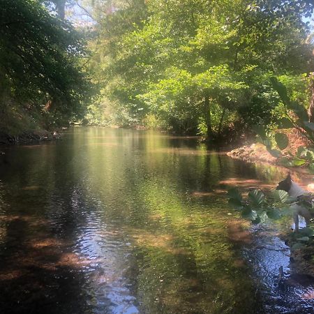 Moulin A Huile Chambre D'Hotes Vins-sur-Caramy Εξωτερικό φωτογραφία